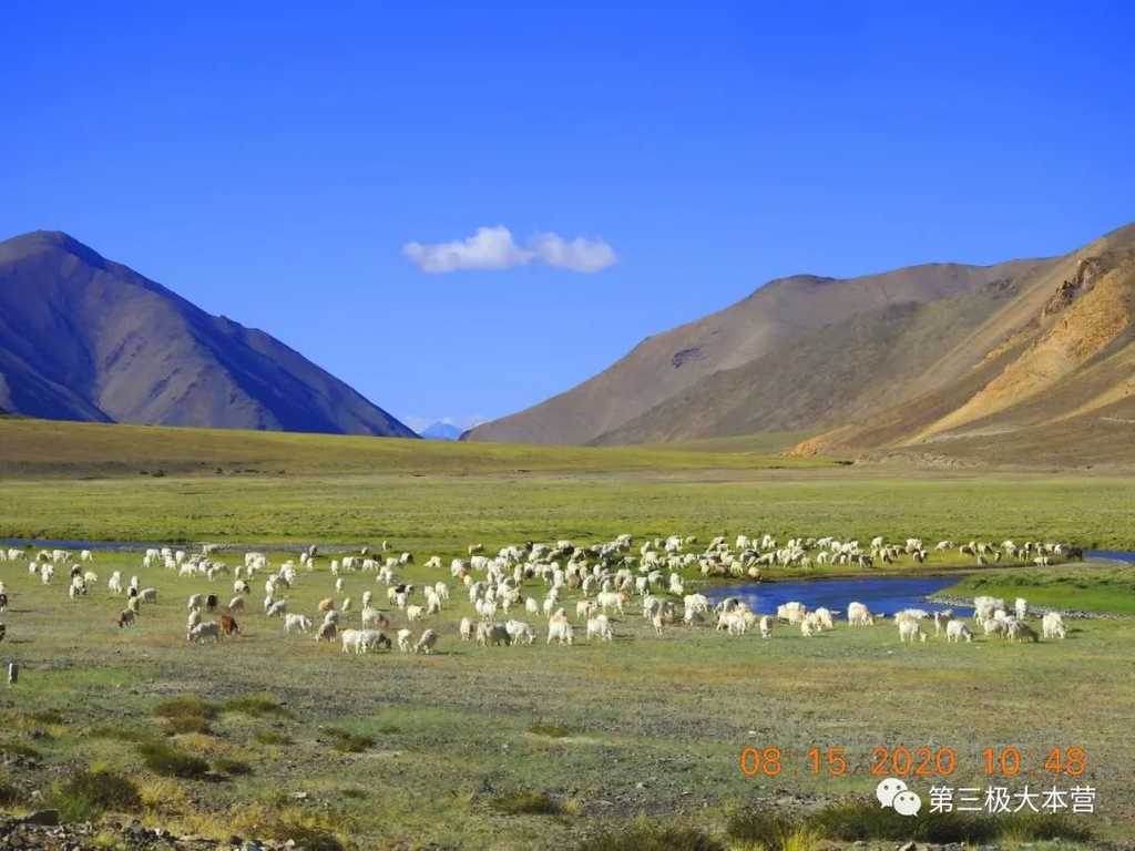 图25. 班公湖旁宁静的牧场，图源：第二次青藏科考队