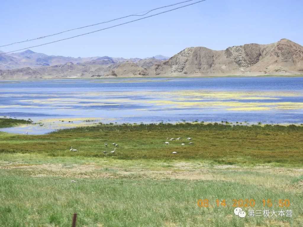 图5. 班公湖湖畔的生态景观，图源：第二次青藏科考队